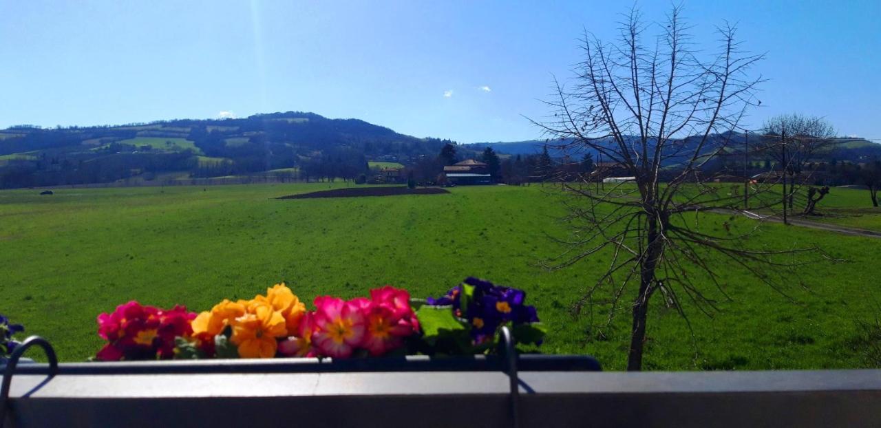 B&B Des Artistes Borzano Esterno foto